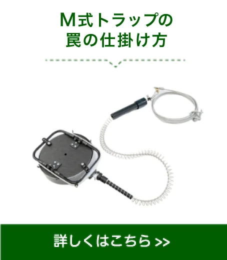 M式トラップ